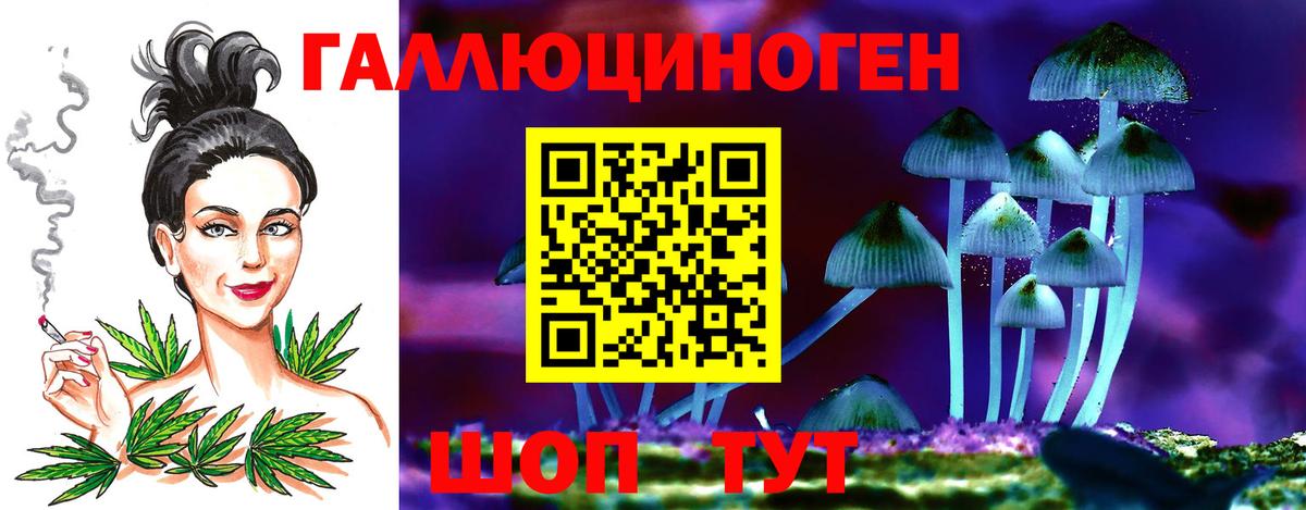 Галлюциногенные грибы Cubensis Лыткарино